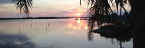 Vacation in Florida